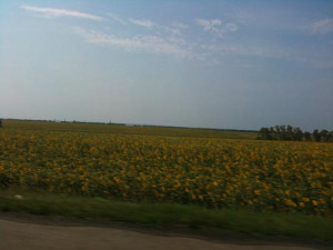 You can see the Ukrainian flag everywhere.